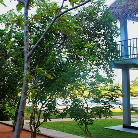 Elephas Resort-2